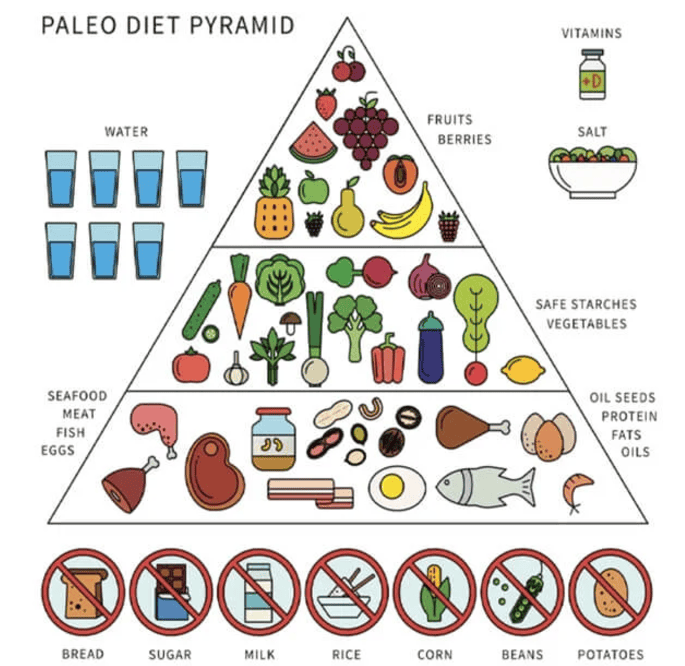 Piramida Makanan Diet Paleo