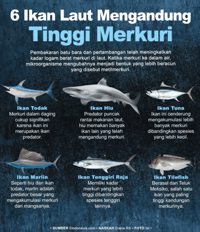 Daftar Ikan Laut Tinggi Merkuri