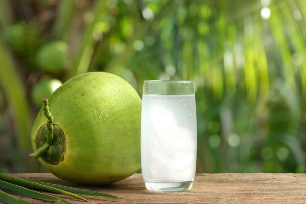 Air kelapa untuk asam urat