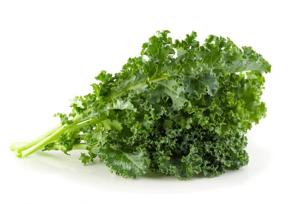 Kale Penurun Trigliserida