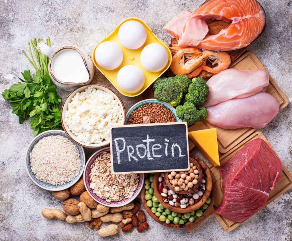 Berbagai sumber protein nabati dan hewani