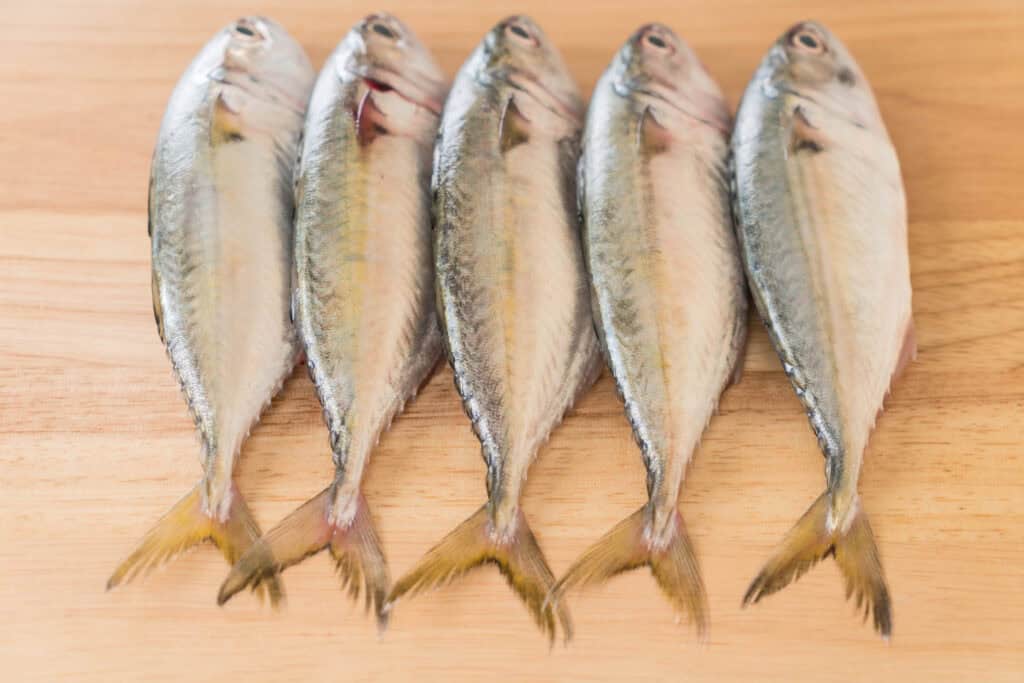 Ikan kembung yang kaya omega 3