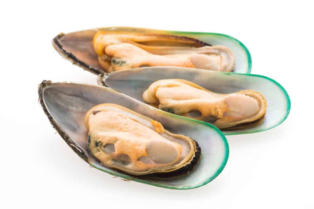 Kerang hijau kaya omega 3 dan vitamin B12 tapi tetap batasi konsumsinya