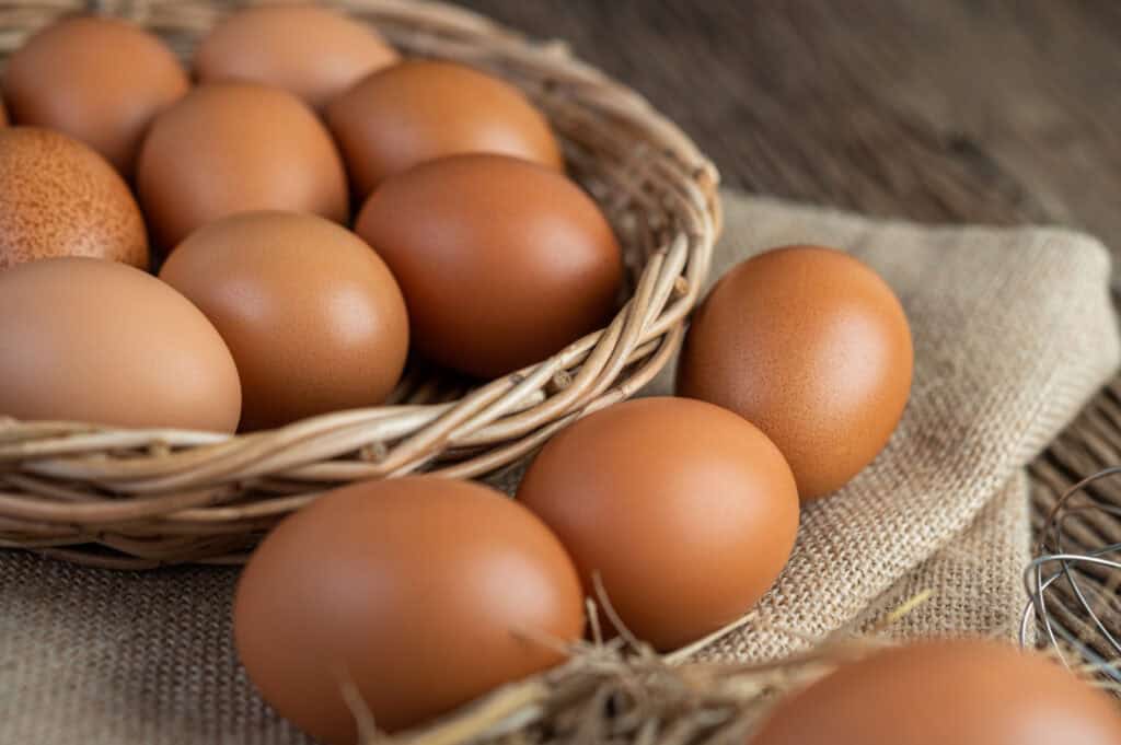 Telur dengan segala manfaat gizi dengan harga terjangkau