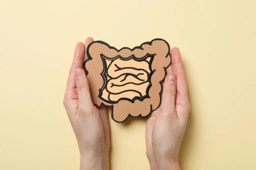 Tepung kelapa tinggi serat membuat pencernaan lancar