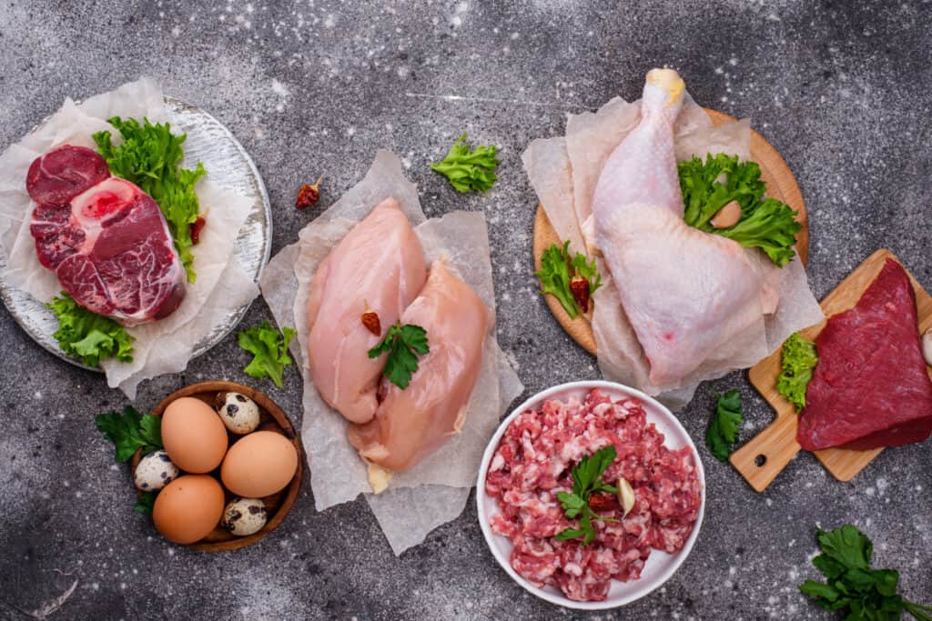 Berbagai macam protein hewani