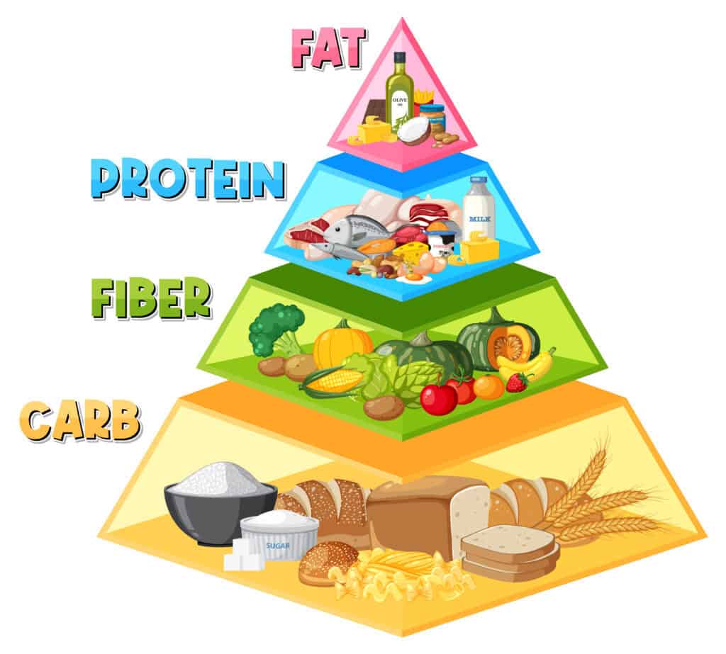 Piramida makan dengan makronutrisi seimbang