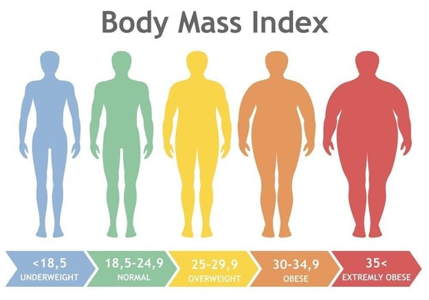 Diagram kategori BMI